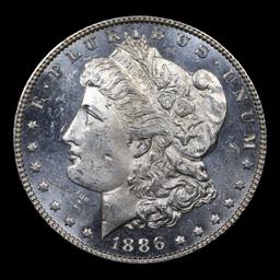 1886-p Mint error Morgan Dollar $1 Grades Select Unc+ DMPL