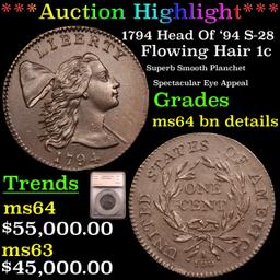 *HIGHLIGHT OF NIGHT* 1794 Head Of '94 S-28 Flowing Hair large cent 1c Graded By SEGS (fc)