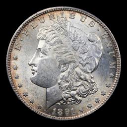 1891-s Morgan Dollar $1 Grades Choice Unc