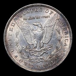 1885-p Morgan Dollar $1 Grades Choice Unc