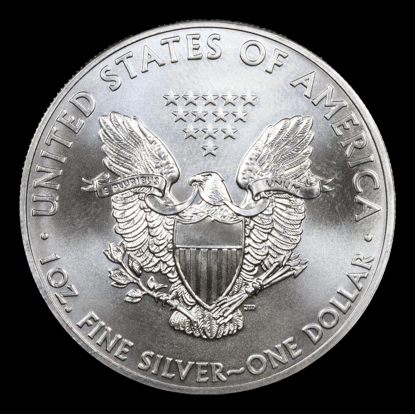 2013 Silver Eagle Dollar $1 Grades ms69