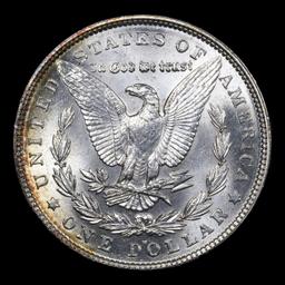 1903-p Morgan Dollar 1 Grades GEM Unc