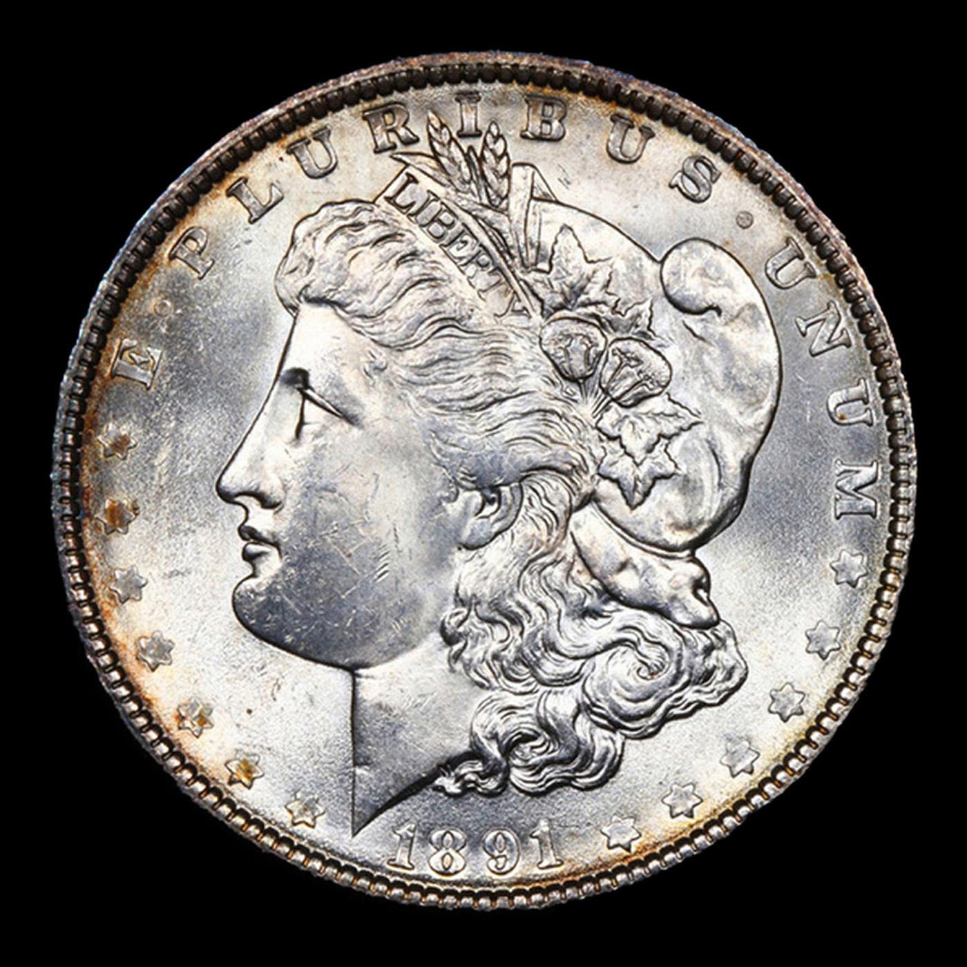 1891-p Morgan Dollar 1 Grades Choice Unc by SEGS