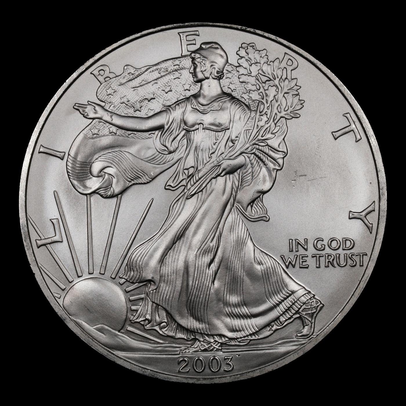 2003 Silver Eagle Dollar $1 Grades ms69