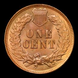 1899 Indian Cent 1c Grades GEM+ Unc RB