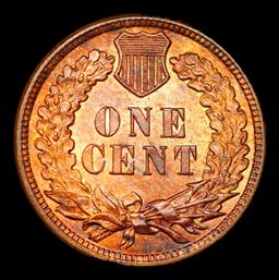 ***Auction Highlight*** 1880 Indian Cent TOP POP! 1c Graded ms66+ rb By SEGS (fc)