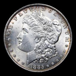 1885-p Morgan Dollar $1 Grades Choice+ Unc