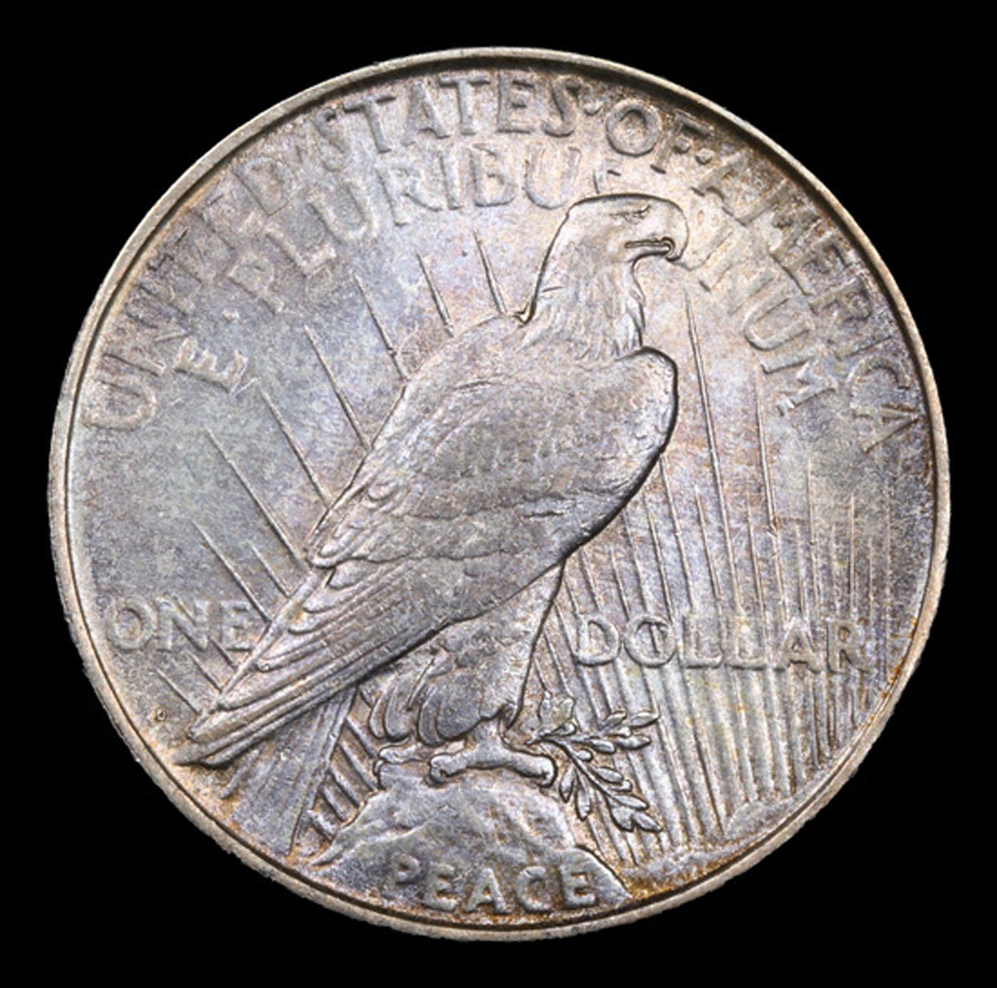 1922-d Peace Dollar $1 Grades Select+ Unc