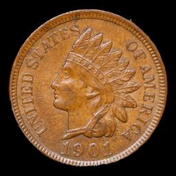 1901 Indian Cent 1c Grades Select Unc BN