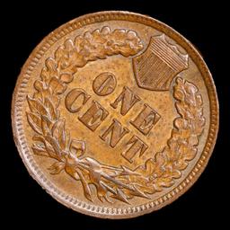 1901 Indian Cent 1c Grades Select Unc BN