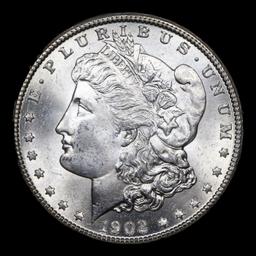 1902-o Morgan Dollar $1 Grades Choice+ Unc