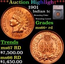***Auction Highlight*** 1901 Indian Cent 1c Graded ms66+ rd By SEGS (fc)
