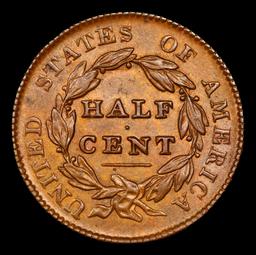 ***Auction Highlight*** 1828 13 Stars Classic Head half cent C-3 1/2c Graded ms64 bn By SEGS (fc)