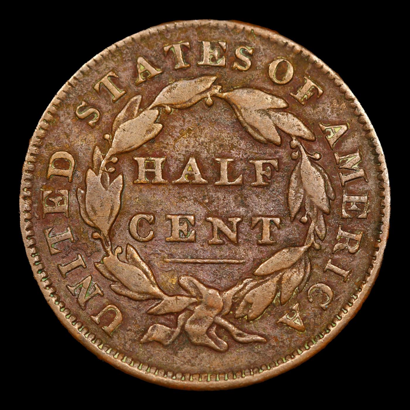 1832 Classic Head half cent 1/2c Grades vf++