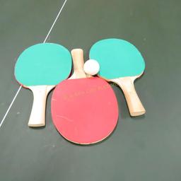 Prince Recreational Table Tennis Table