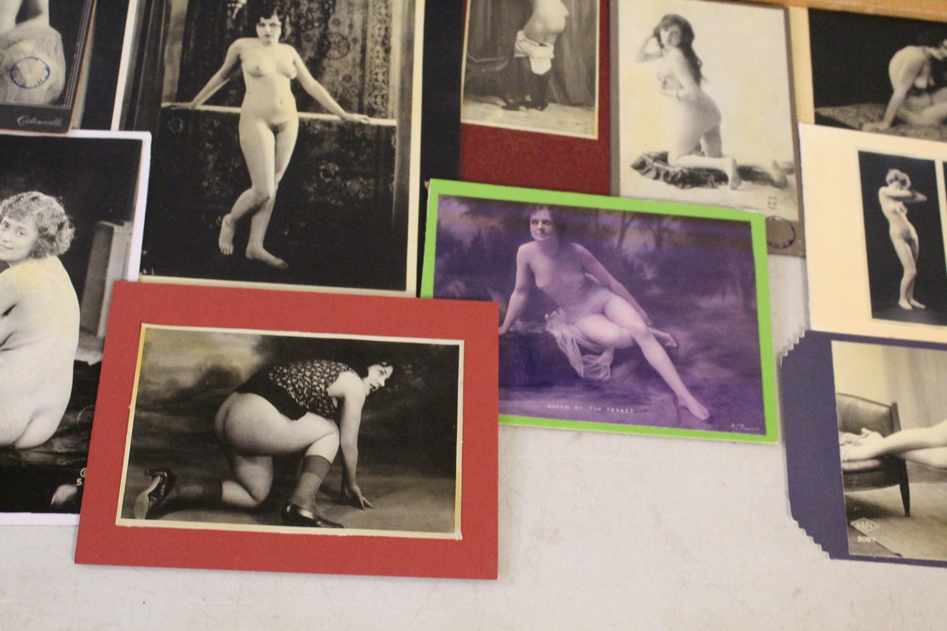 20+ Reproduction Nude Photos Mounted on Board