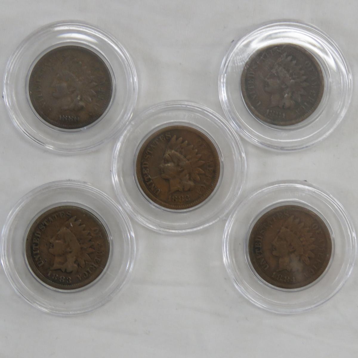 Indian Head Cent Collection 1880-1909