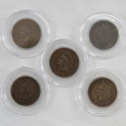 Indian Head Cent Collection 1880-1909