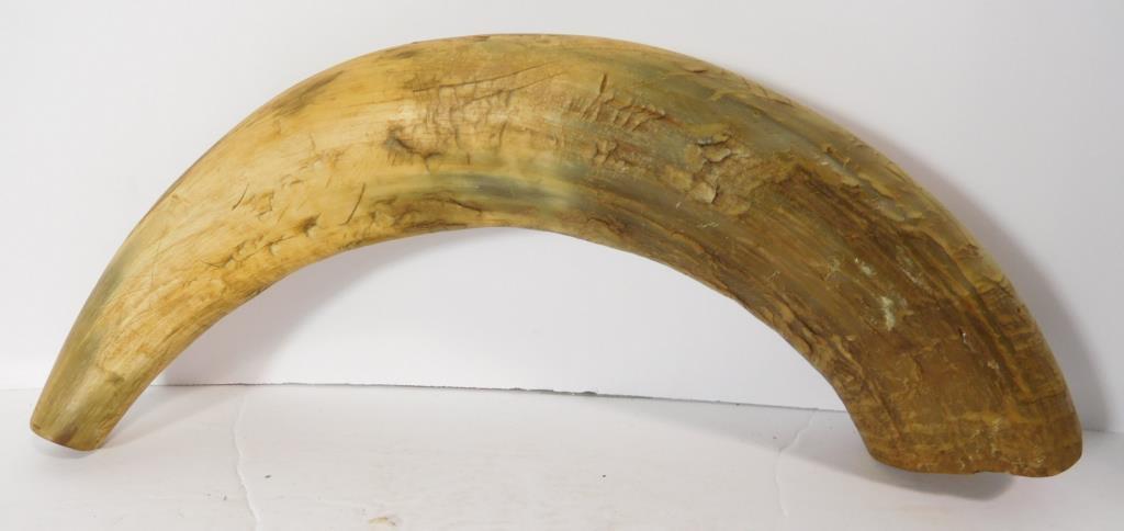 Lot #90G - (2) Powder horns 