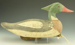 Lot 3399 - Contemporary Dorchester County American Merganser drake with line and weight  branded