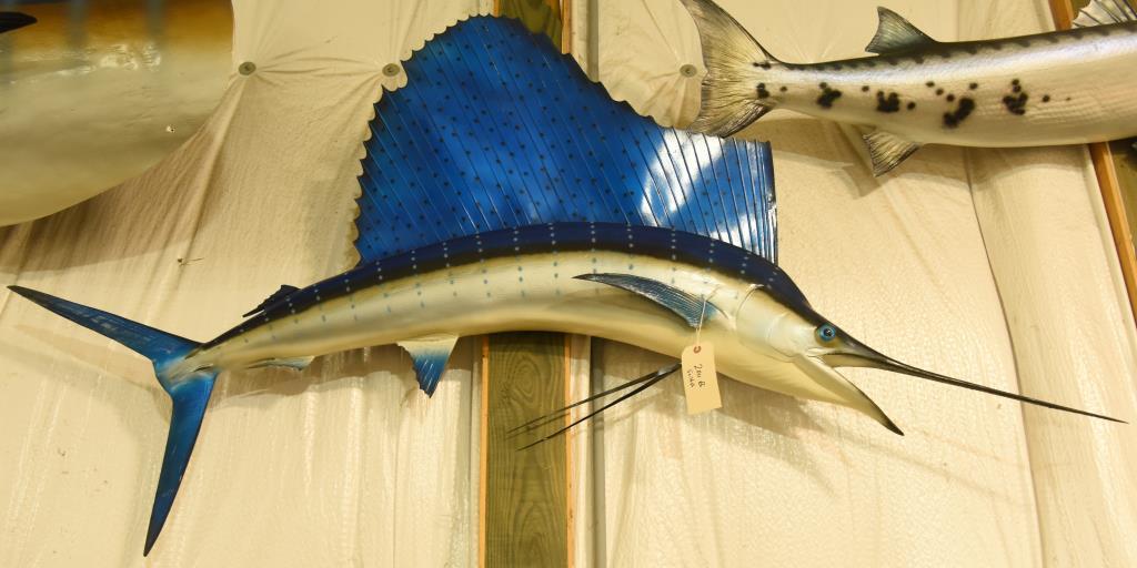 Sail fish mount. Approx. 72" in length THIS ITEM IS NOT SHIPPABLE. Due to the Size  Item needs