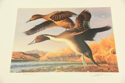 Lot #45 - (3) Duck stamp prints: 1993-1994 Federal Duck Stamp print of Canvasbacks by Bruce