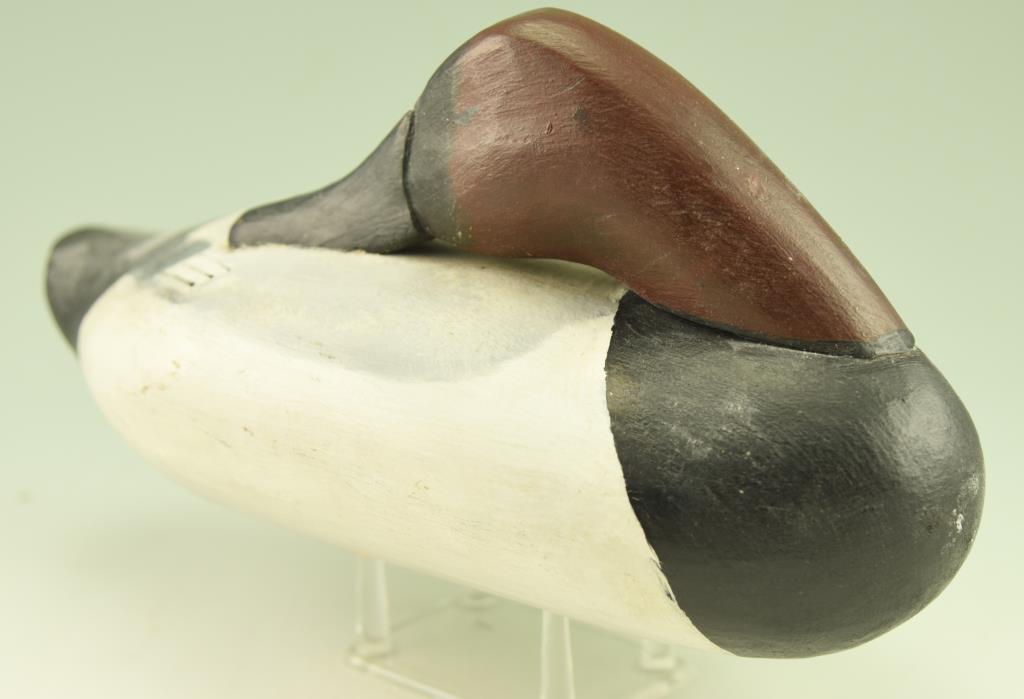 Lot #152 - Preening Canvasback Drake by Horace Graham, Charlestown, MD