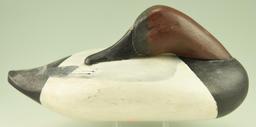 Lot #152 - Preening Canvasback Drake by Horace Graham, Charlestown, MD