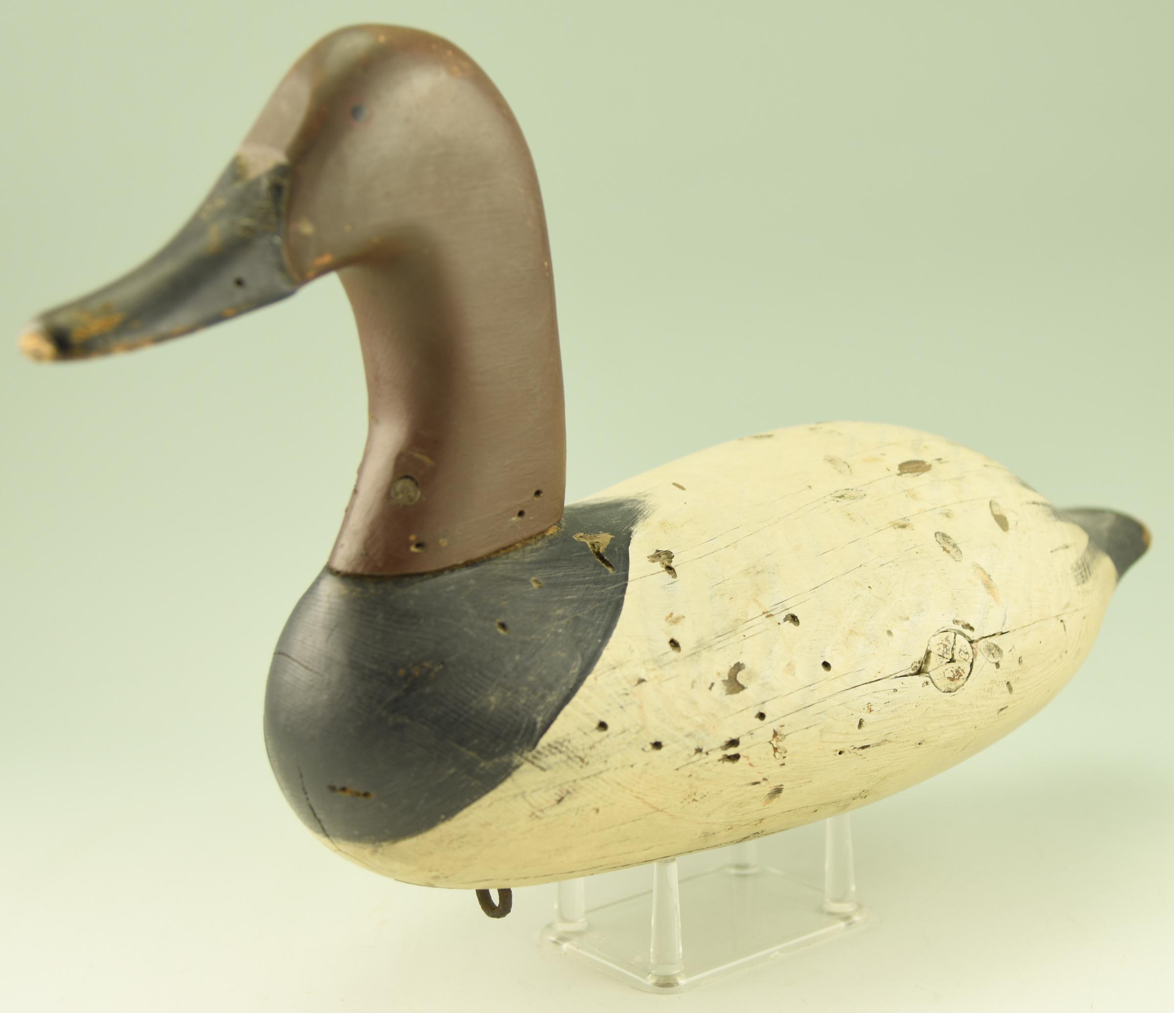 Lot #174 - Upper Bay High Head Canvasback drake old working repaint excessive gunning wear to