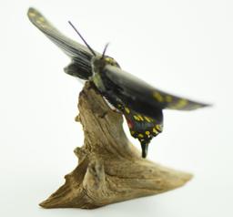 Lot #356 - Superb carved Short Tailed Swallow butterfly on driftwood signed on underside B.