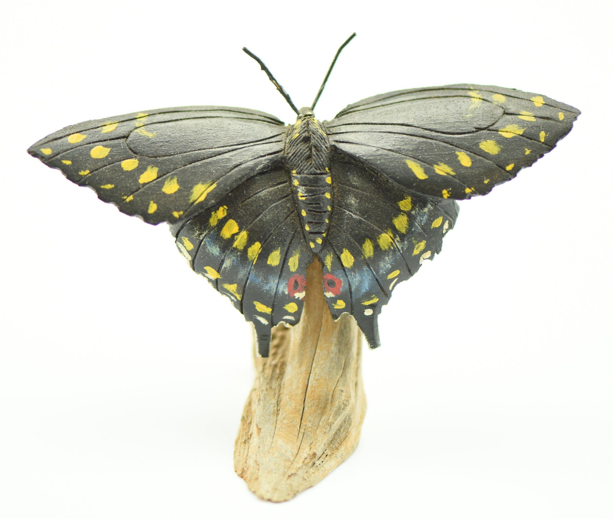 Lot #356 - Superb carved Short Tailed Swallow butterfly on driftwood signed on underside B.