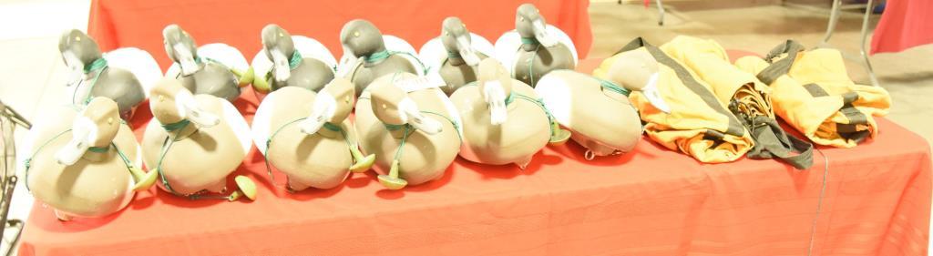 Lot #301 - One dozen Styrofoam Blue bill decoys (6) Drakes and (6) Hens all rigged with line and