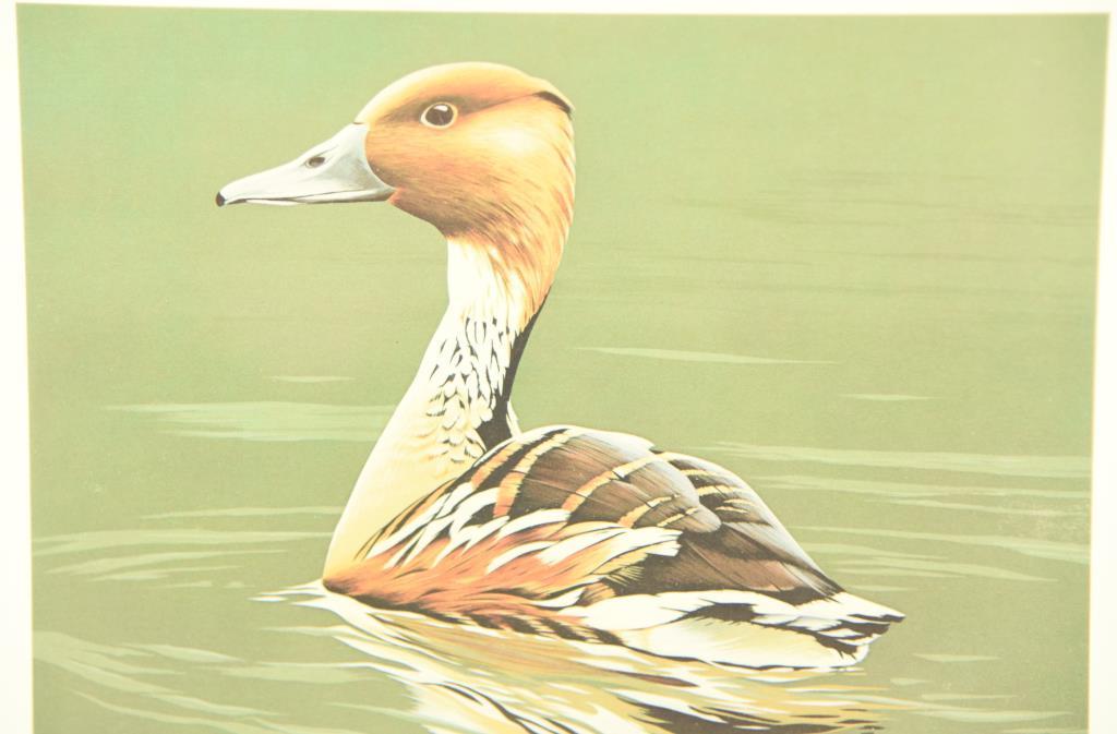 Lot #303 - (3) Duck stamp prints: (2) 1986-87 Federal Duck stamp print by Burton Moore Gold Medal