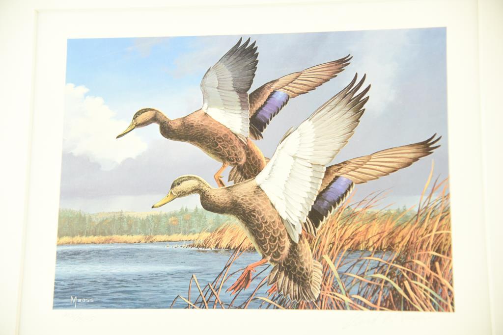 Lot #312 - 1984 Maine Migratory Waterfowl Stamp print by David Maas, 1982 Ohio Wetlands Habitat