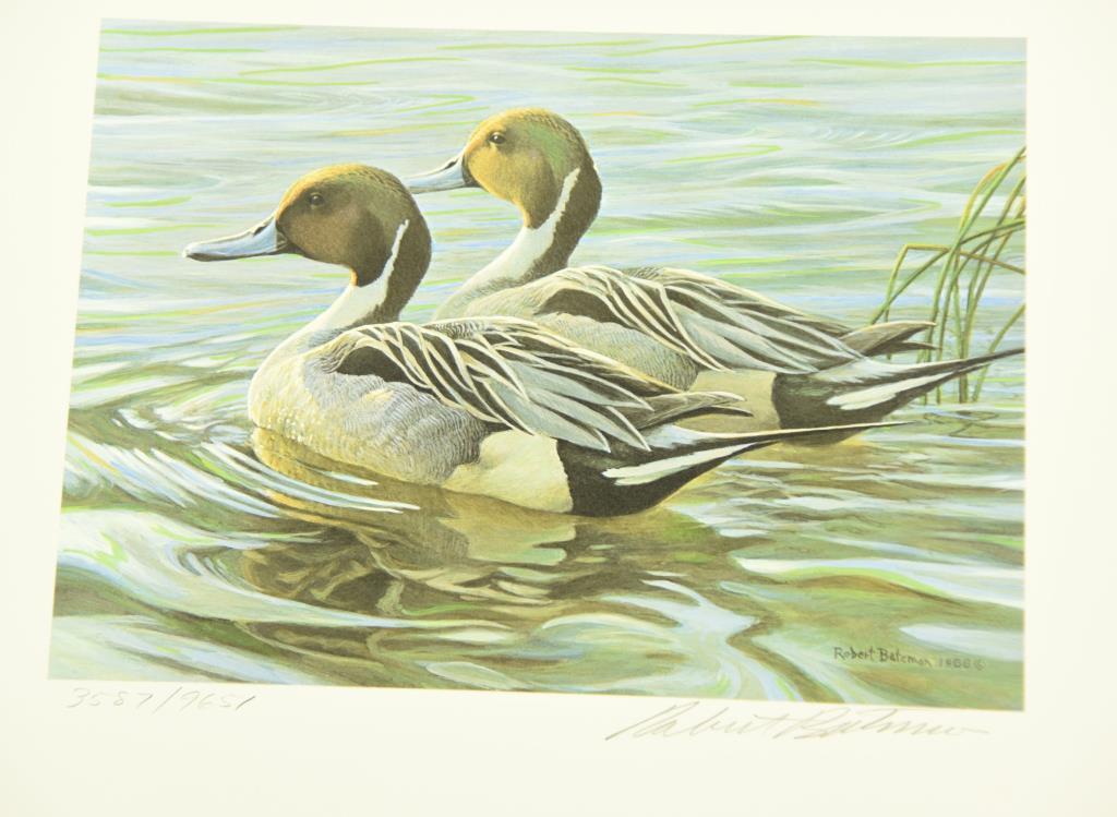 Lot #314 - 1988 Washington State Waterfowl Stamp print by Robert Bateman, 1988 Canada Waterfowl