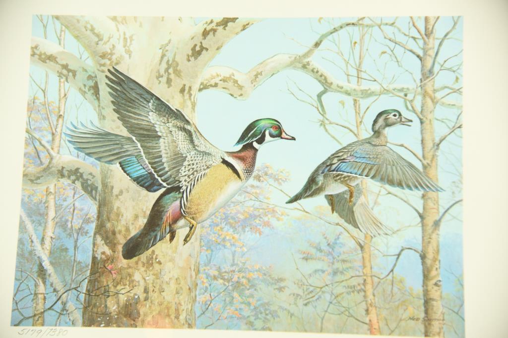 Lot #321 - 1983 New Hampshire Duck Stamp print by Richard Plasschaert, 1982 North Dakota Duck