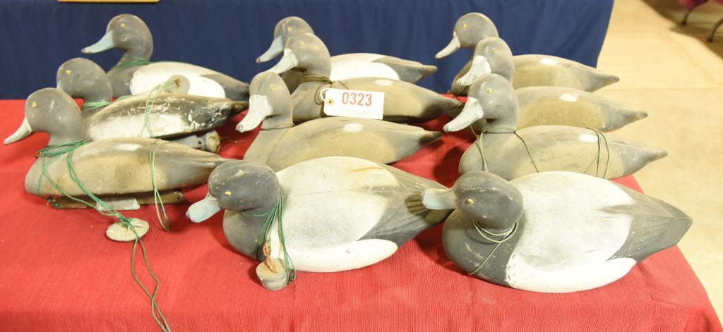 Lot #323 - (11) Wingsetter Bluebill decoys al l rigged with line and weights (5) Drakes and (6)