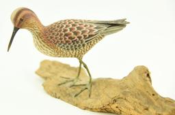 Lot #360 - Paul Nock Salisbury, MD Stilt Sand piper on driftwood signed and dated 1973 (from the