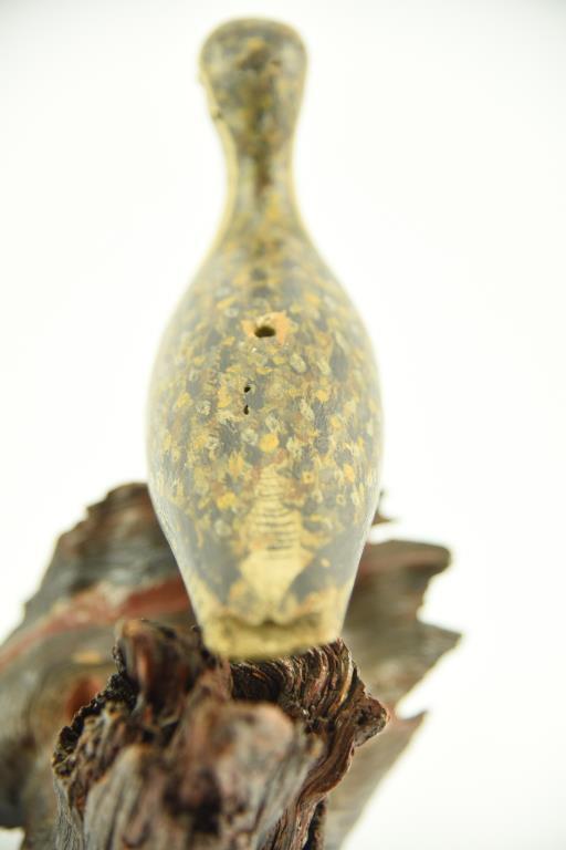 Lot #363 - Golden Plover Cape Cod, MA “Wind Bird” Fine original paint in Spring plumage hallowed