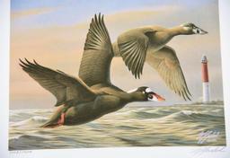 Lot # 4579 - (3) Unframed Federal duck stamp prints all in original folders each signed and