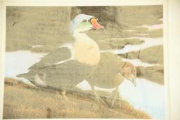 Lot # 4065 - Limited edition 1991-1992 Federal duck stamp print by Nancy Howe. Comes with stamp