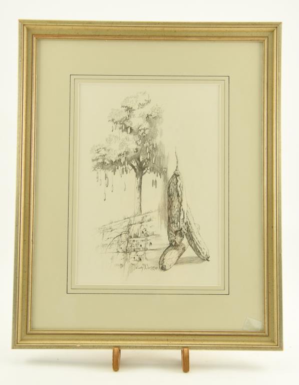 Lot # 4077 - Pencil drawing by Larry Norton depicting kigelia tree and fruit. Signed and dated