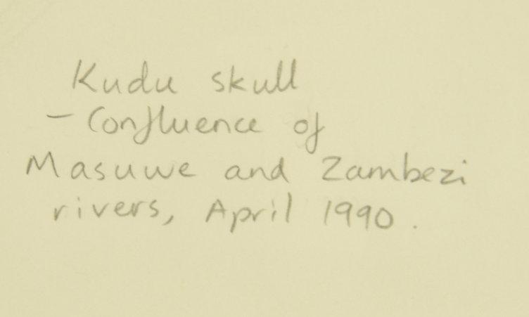 Lot # 4081 - Pencil drawing by Larry Norton titled “Kudu Skull”. Signed and dated 93. Has been