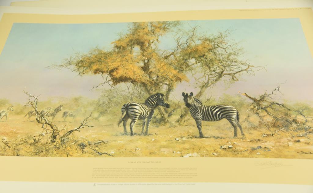 (8) Kudu Prints by David Sheppard, (5) “Zebra s and Colony Weavers” by David Sheppard, (2)