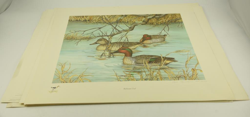 “Black Ducks at Davis Creek” by Margaret Blair, “Backwaters by Art Cook”, (2) “Backwater Teal by