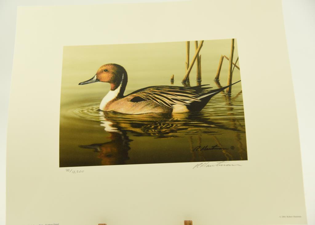 (1) 2008-2009 Federal Duck Stamp print of Northern Pintails by Joe Hautman #41, (1) 2010-2011