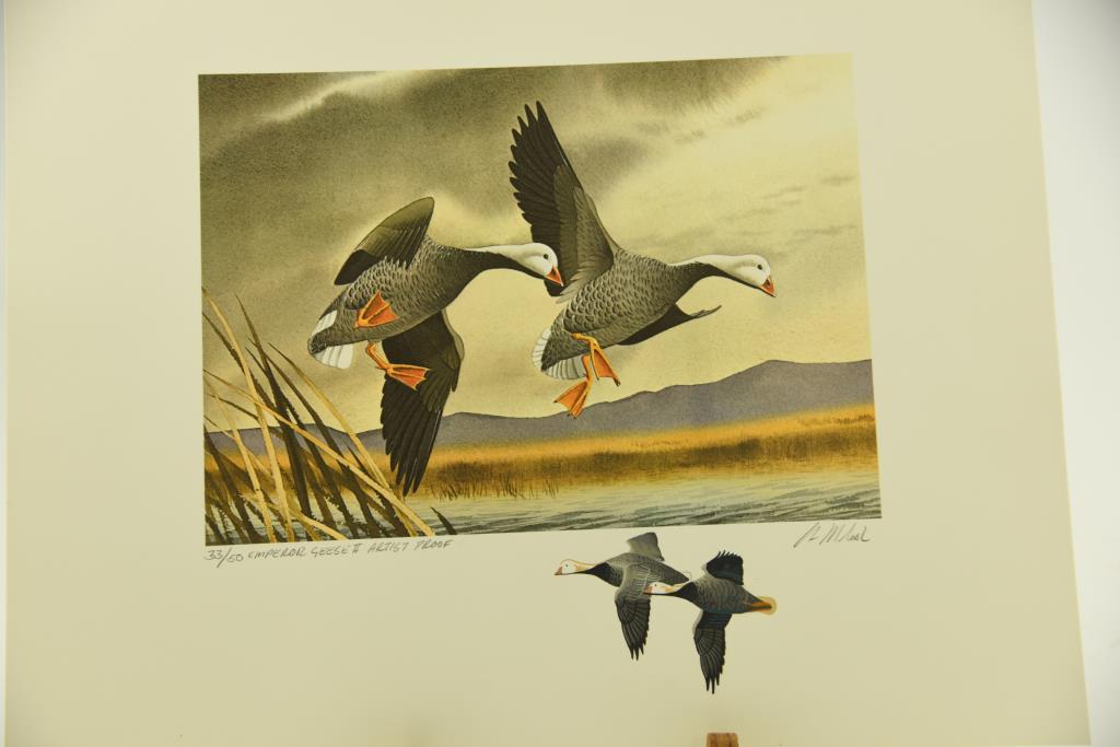 (1) 2008-2009 Federal Duck Stamp print of Northern Pintails by Joe Hautman #41, (1) 2010-2011
