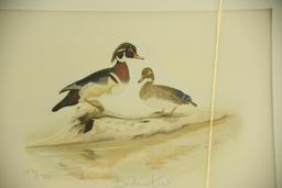 (2) Initial Alabama State Duck Stamp prints by Barbara Keel both matted with original stamp,