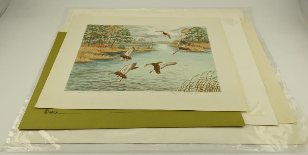 (1) Print of Wild Turkeys by J.F. Landenburger 18” x 24”, “Black Ducks at Davis Creek” by