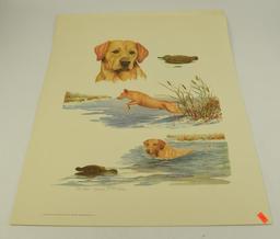 (1) Sailing print by William Bond, (2) lab prints by James Fisher, “Bobwhite and Pointer” in